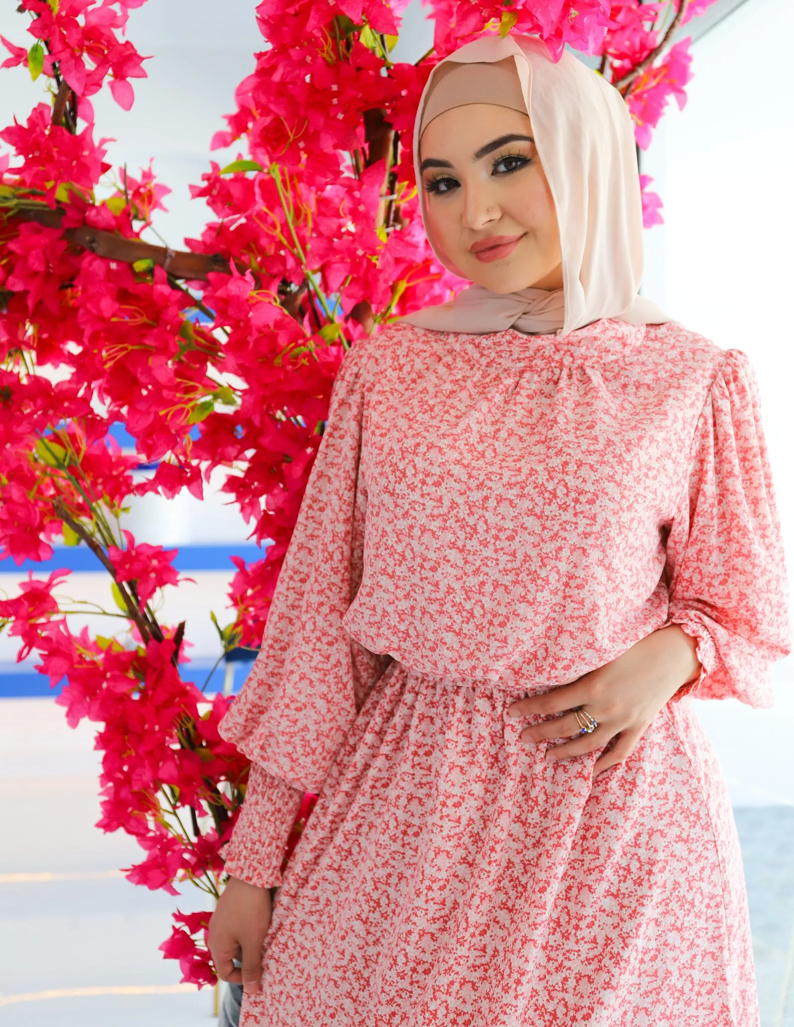 Tianna Print Dress